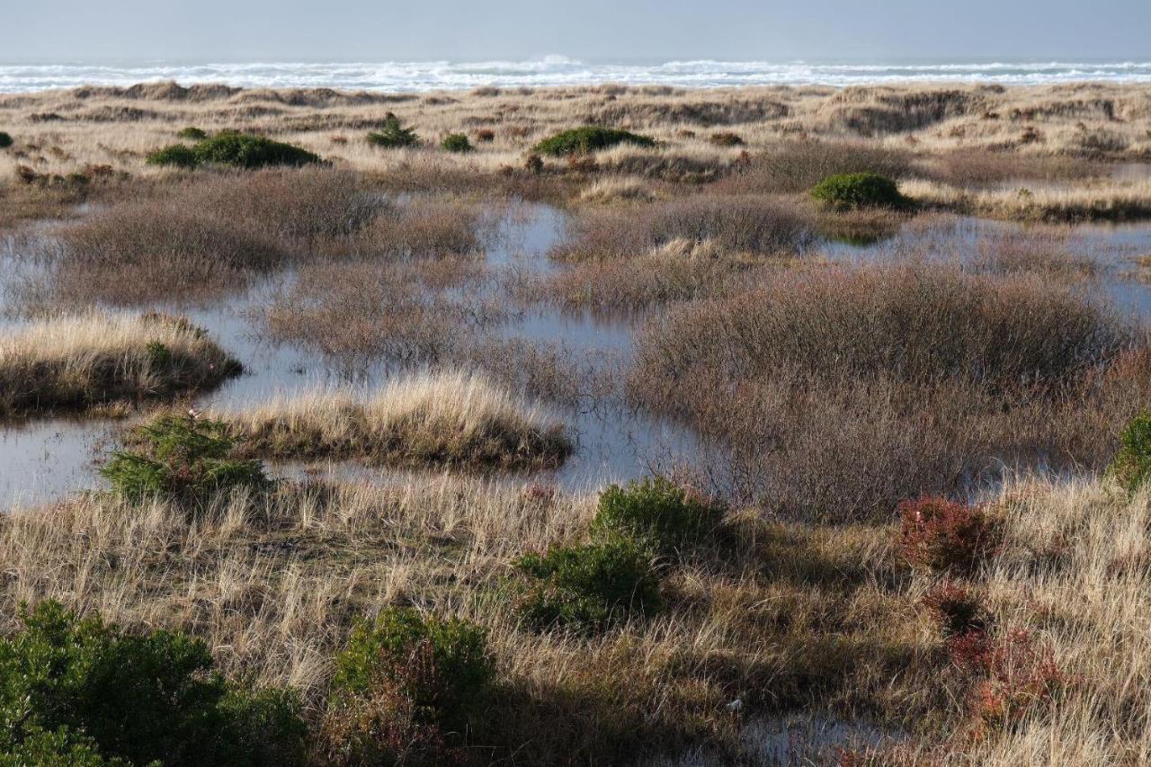 Tidal House 3 Villa Ocean Shores Kültér fotó